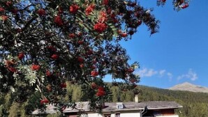 Uma casa com telhado inclinado, cercada por árvores e uma montanha ao fundo.