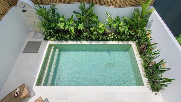 Piscina rectangular con agua cristalina, rodeada de abundante vegetación y un muro blanco.