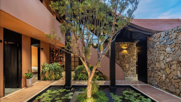 A modern building with a stone wall, a water feature with lily pads, and a tree.