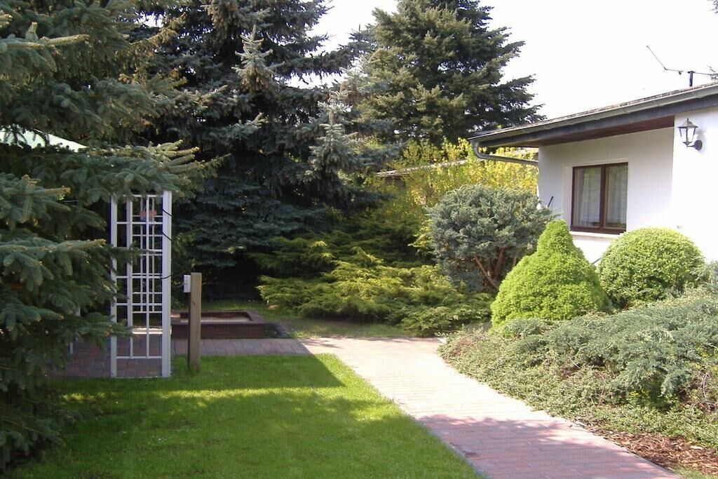A house with a paved driveway leading to a white door, surrounded by lush greenery and tall trees.