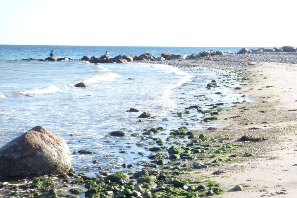 A beach with rocks and seaweed, calm water, and a clear sky.