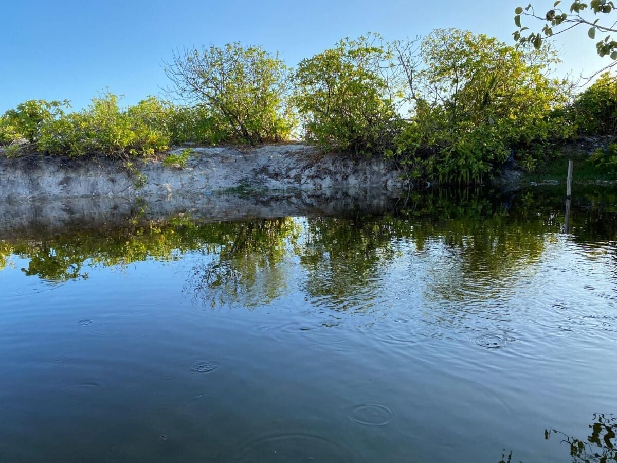 A calm water body with reflections of trees and a concrete embankment.