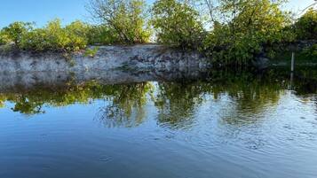 A calm water body with reflections of trees and a concrete embankment.