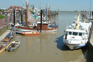 A marina with various boats docked, a building labeled 'Freshhouse' in the background, and a clear sky. - Hof Homfeld Apartment 2 (Jemgum)