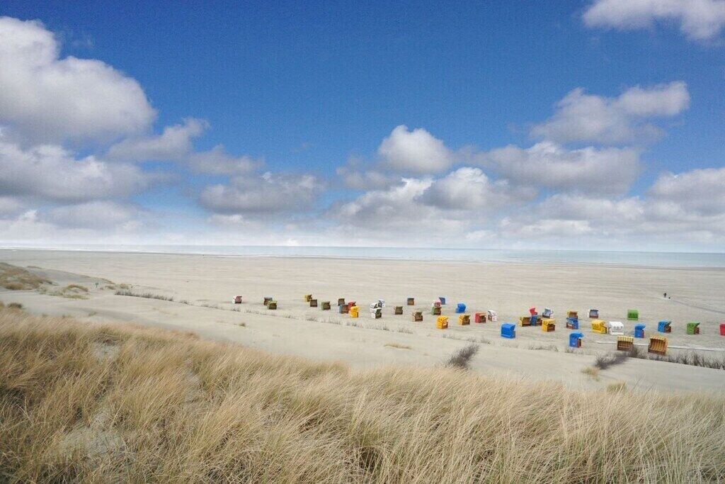 Une plage bordée d’une rangée de conteneurs aux couleurs vives, alignés le long du rivage.