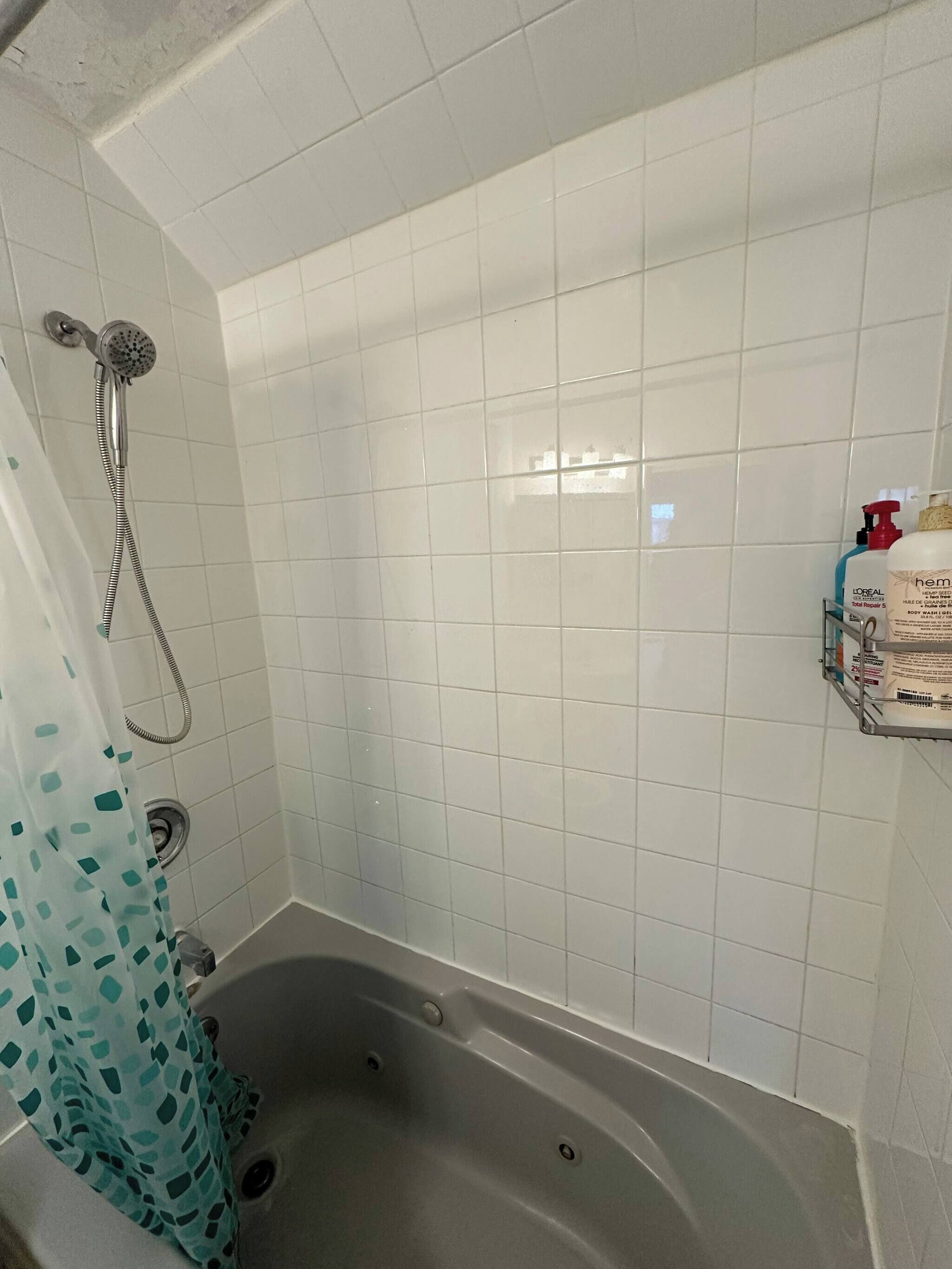 Shower, hair dryer