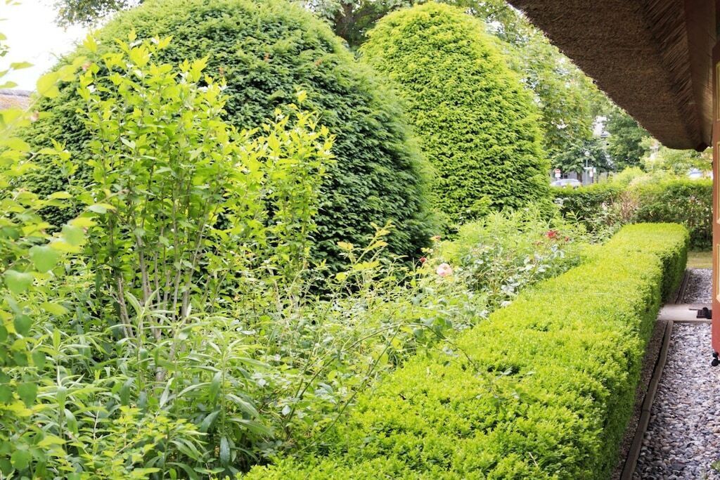 A garden with variously shaped hedges and a gravel path.
