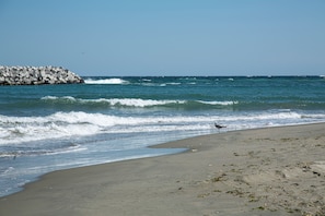 A beach with waves, a rocky breakwater, and a single bird on the sand.