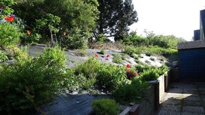 A rooftop garden with various plants and flowers.