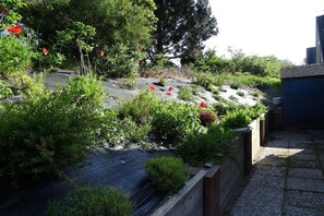 A rooftop garden with various plants and flowers.