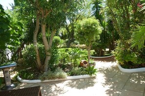 A garden with various plants and a wooden bench.