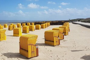 Ein Strand mit mehreren Reihen gelber Liegestühle.
