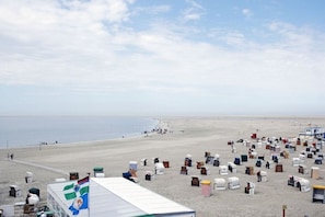 A beach with numerous beach chairs and umbrellas arranged in rows. - Jantje holiday apartment (Borkum)