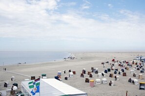 Una playa con numerosas sillas y sombrillas dispuestas en filas.