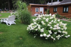 A log cabin with a well-maintained lawn, a white chair, and a bush of white flowers. - Holiday apartment with 2 bedrooms (Crinitzberg)