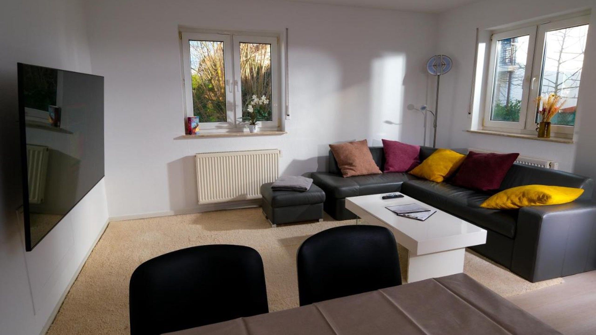 A modern living room with a sofa, a coffee table, and a TV. There are windows with views of trees and a radiator on the wall.