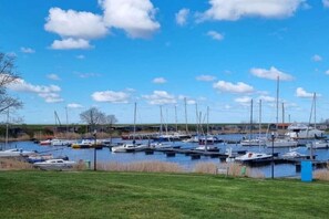 A marina with multiple boats docked, a grassy foreground, and a clear sky.