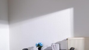 A room with a radiator, a potted plant, and a chair. - Maisonette 1 Bad König – 90 m², Balcony (Bad König)
