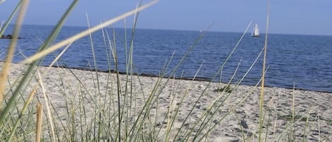 A beach with sand and grass in the foreground and a sailboat on the water in the background.