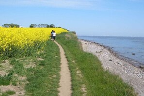Un sentiero che conduce a uno specchio d'acqua, con fiori gialli su un lato.