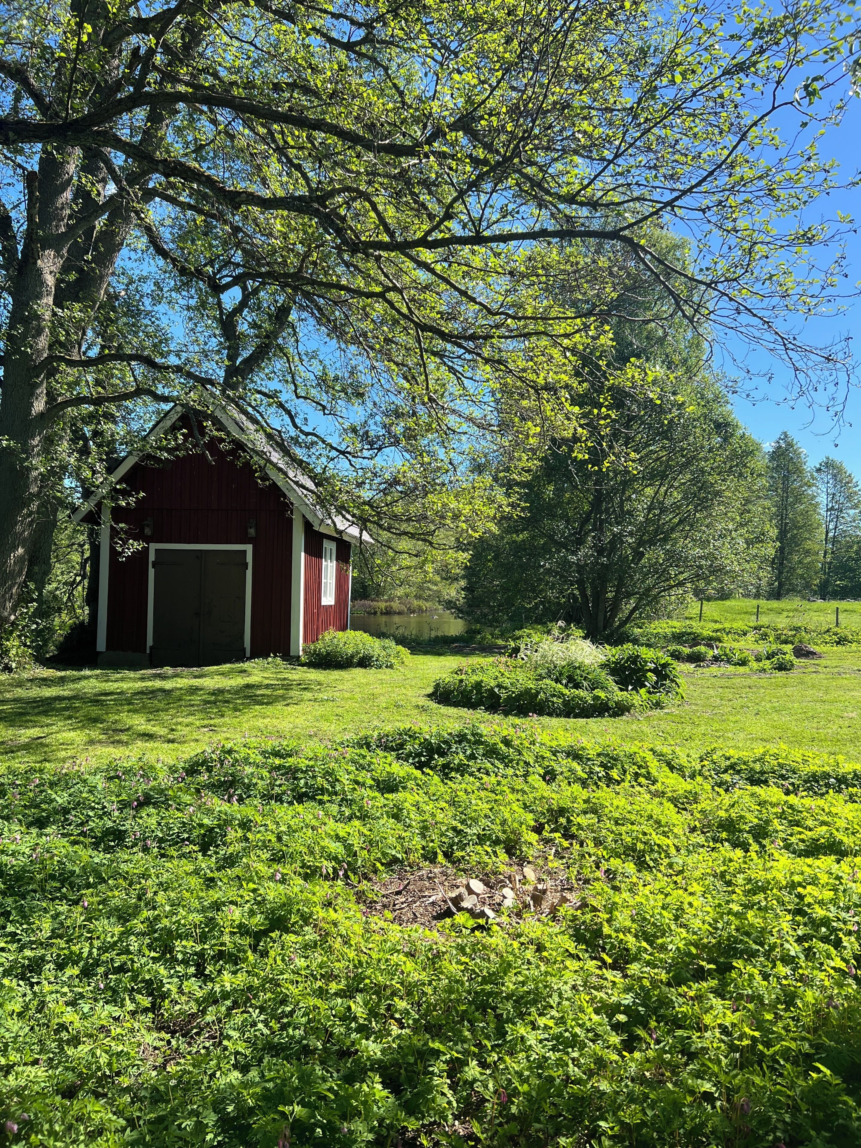 A red barn with a white door, surrounded by lush green grass and trees.