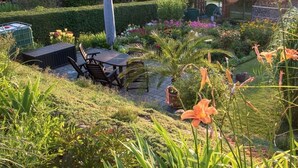 A garden with a patio table and chairs, surrounded by various plants and flowers. - Holidays at Bärbel Güldner's (Feldberger Seenlandschaft)