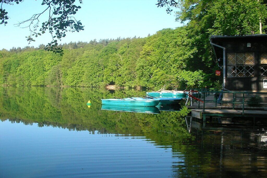 A calm lake with boats docked on the right, surrounded by dense green trees.