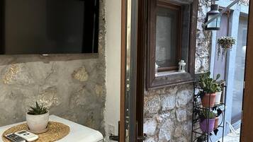 A compact living space with a stone wall, a white appliance, a mounted TV, and a door leading to an outdoor area with potted plants.