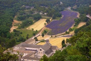 A rural landscape with a church and lavender fields. - Holiday apartment with 2 bedrooms (Roussillon)