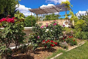 Ein Garten mit verschiedenen Pflanzen und einer Pergola.