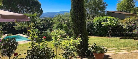 Un jardín con piscina, un árbol alto y un edificio al fondo.