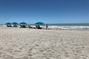 Ein Strand mit mehreren Liegestühlen und Sonnenschirmen.