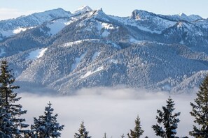 A mountain landscape with snow-covered trees and a clear view of the peaks. - Bergblick Buchwieser (Unterammergau)
