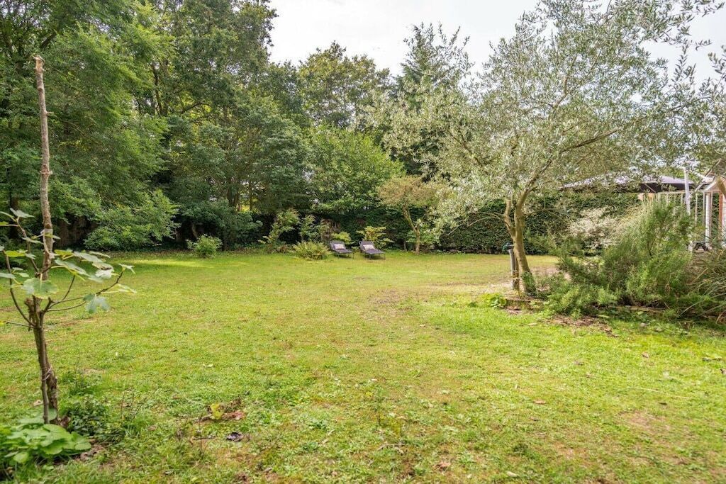 Un espace extérieur verdoyant, avec des arbres et une petite construction en arrière-plan.