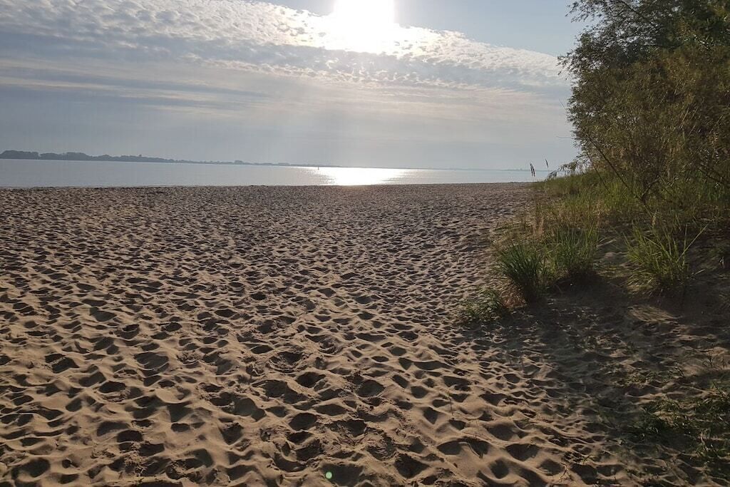Ein Strand mit Fußspuren, die zum Wasser führen, ein klarer Himmel und Land in der Ferne.
