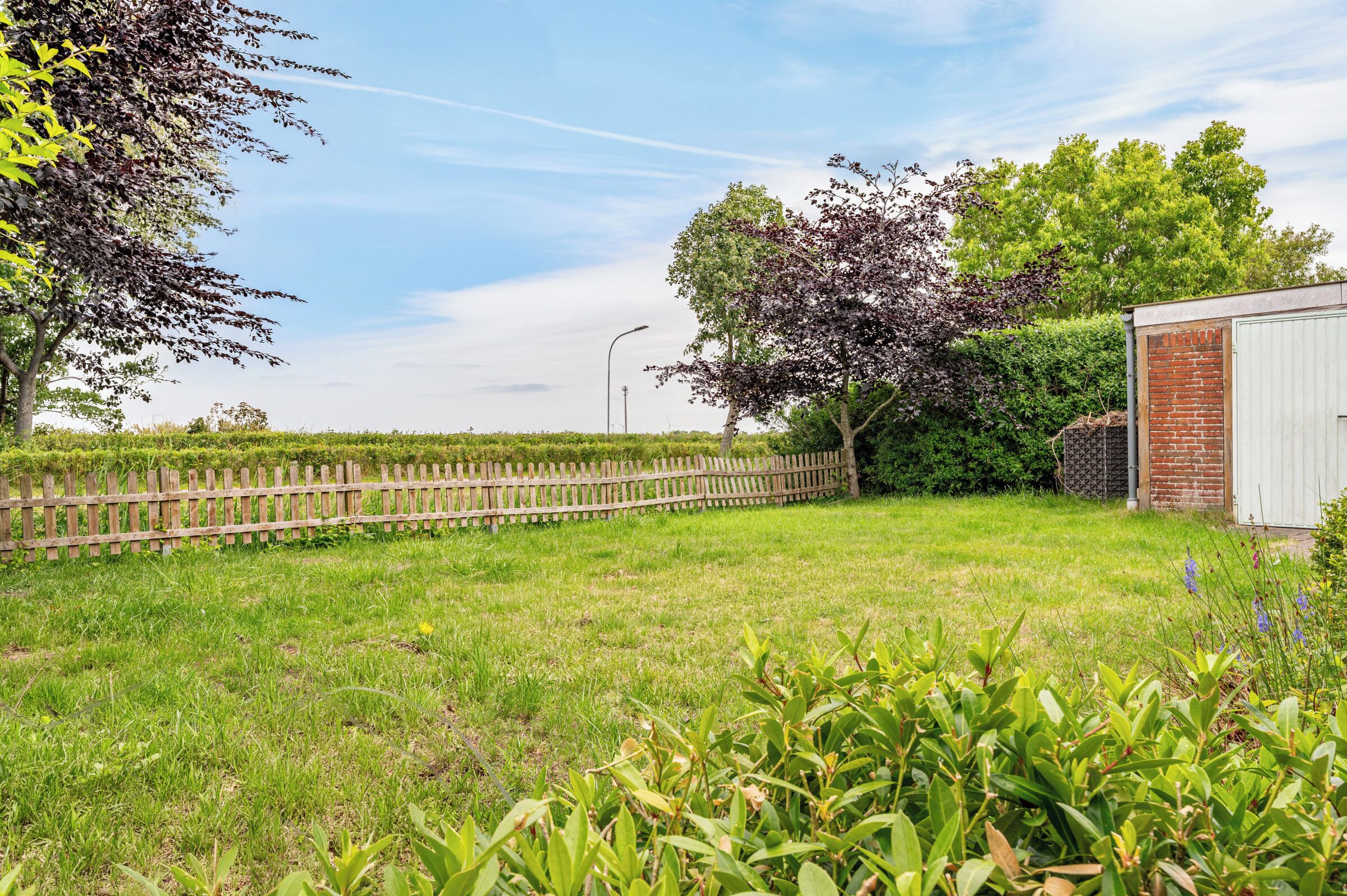 A grassy area with a wooden fence, trees, and a small shed.