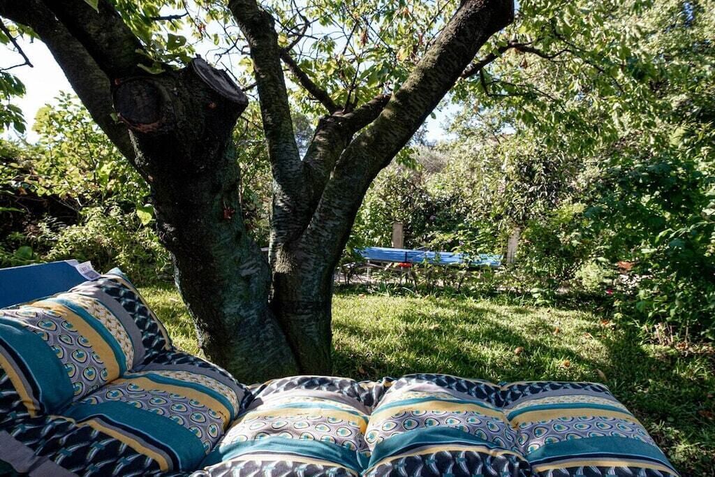 Un arbre sous lequel est suspendu un hamac, un banc et, au fond, une structure bleue.