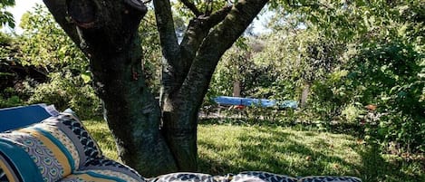Un árbol con una hamaca, un banco y una estructura azul al fondo.