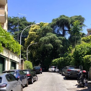 Eine Straße, gesäumt von parkenden Autos und Bäumen, mit Gebäuden an beiden Seiten.