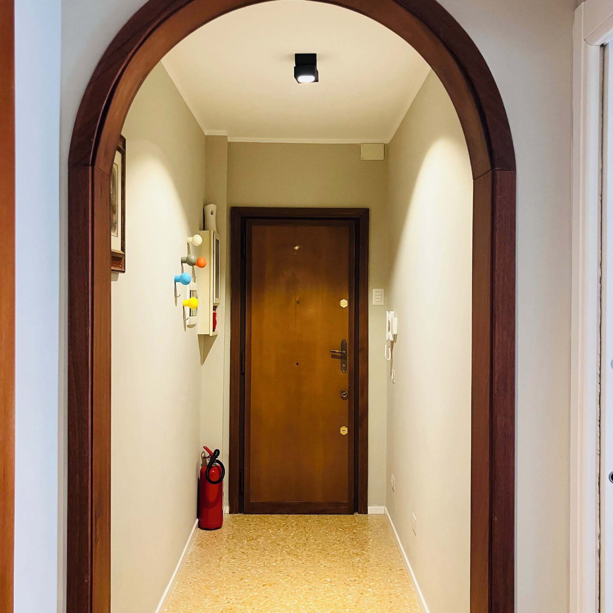 A hallway with a wooden door, a fire extinguisher, and a ceiling light.