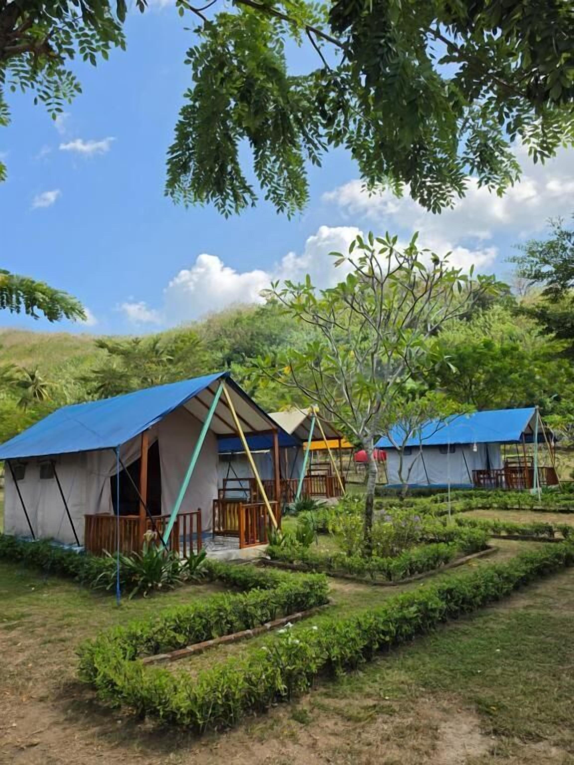 Un terrain de camping avec des tentes et un arbre au premier plan.