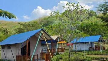 Un terrain de camping avec des tentes et un arbre au premier plan.