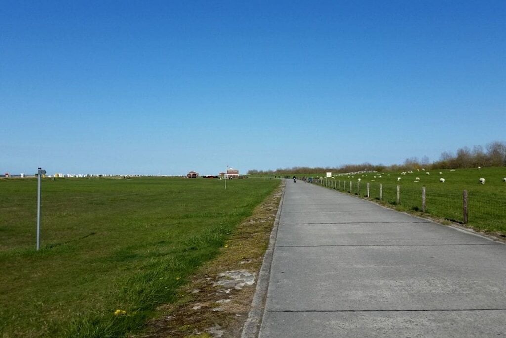 En asfalterad gångväg längs en gräsyta, med ett staket och några byggnader i bakgrunden.