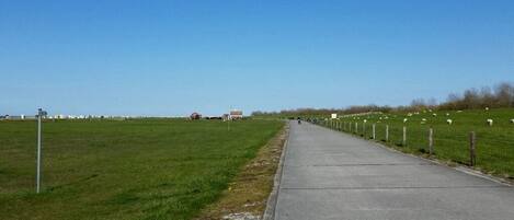 A paved pathway alongside a grassy field with a fence and a few buildings in the distance.