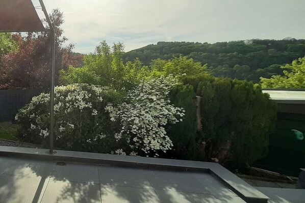 A view of a garden with various plants and trees, a metal structure, and a building in the background. - VivaNatura Eifel holiday home (Einruhr)