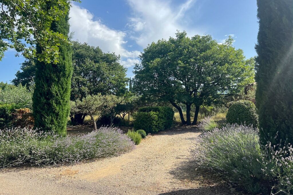 A gravel path surrounded by various trees and shrubs.