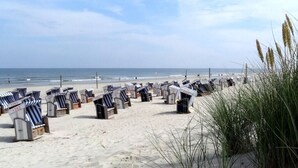 Een strand met rijen gestreepte strandstoelen en parasols, een zandstrand en de oceaan op de achtergrond.