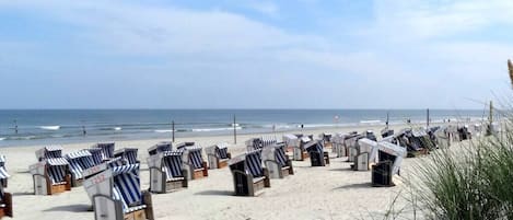 A beach with rows of striped beach chairs and umbrellas.