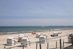 En strand med rader av numrerade strandstolar och ett räcke.
