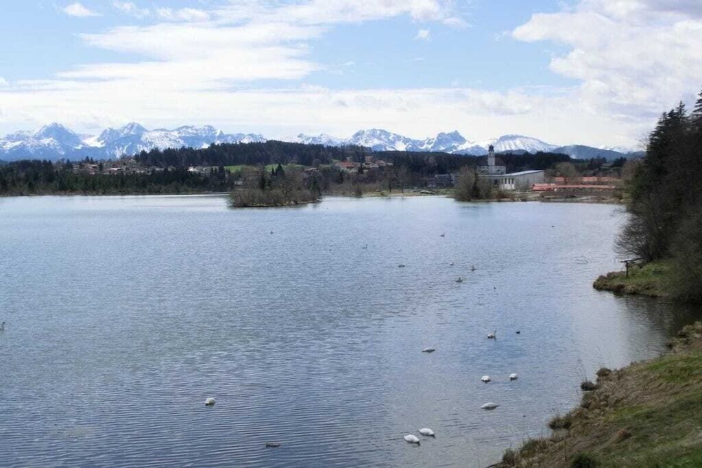 A lake with swans, a mountain range, and buildings in the background.